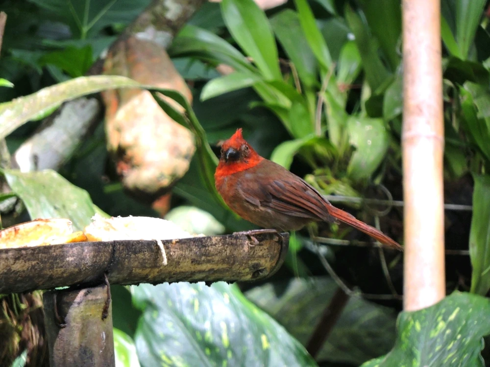 Imagen subida por Santiago VS