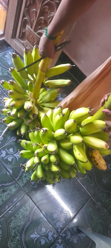 Image uploaded by Appu
