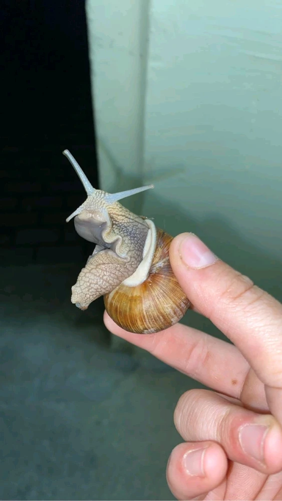 Bild hochgeladen von Steve