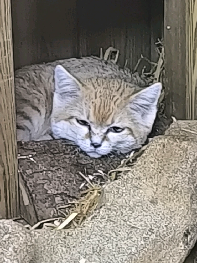 Image ajoutée par Max