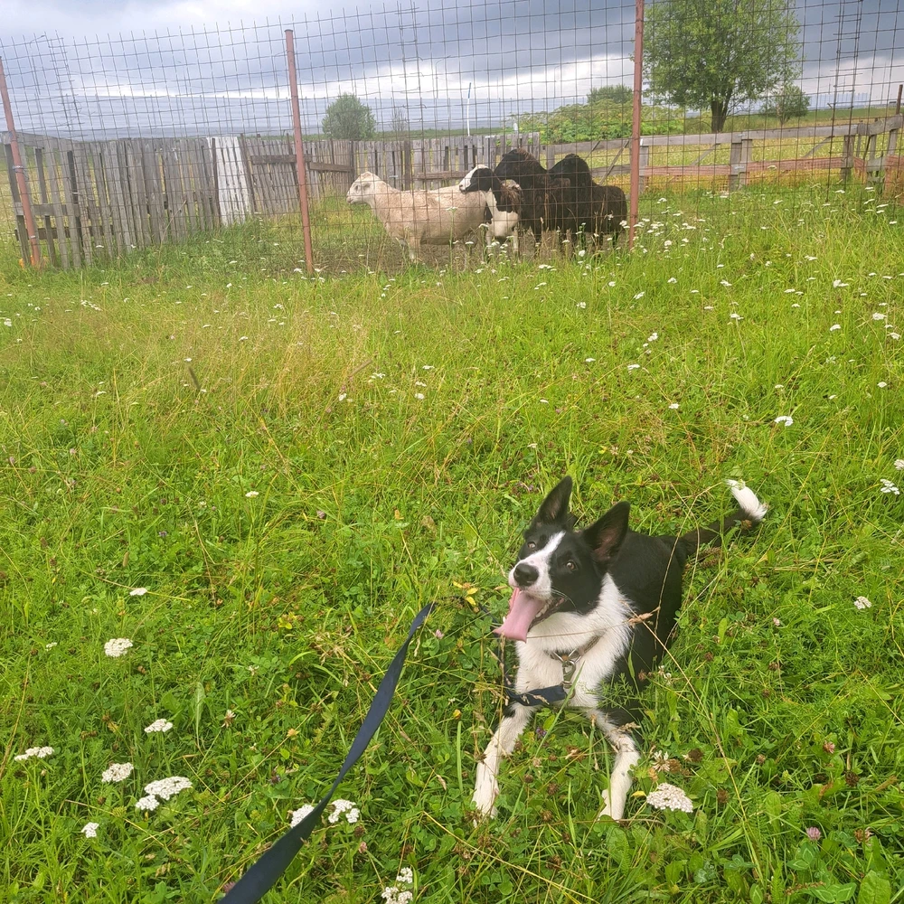 Image uploaded by Любовь