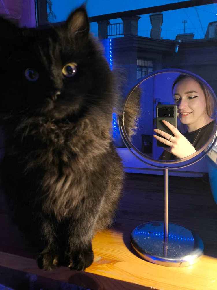 Фото загрузил Ксения