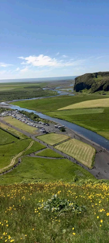 Image uploaded by Ian