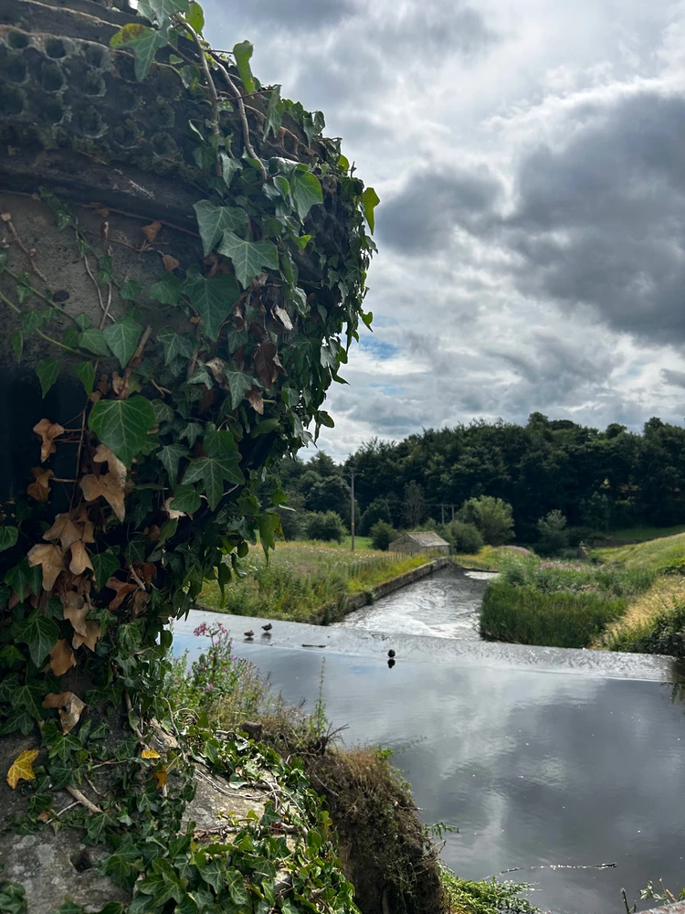 Gambar diunggah dening Shelley