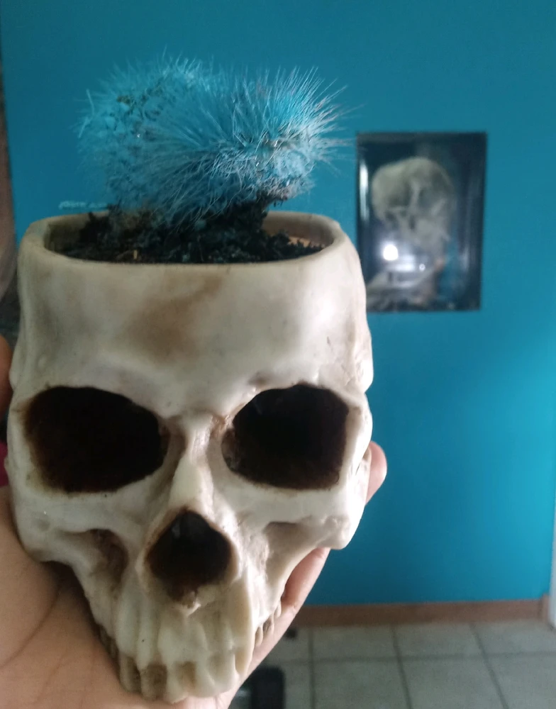 Duab xa los ntawm 𝕽𝖆𝖞𝖒𝖔𝖓𝖉