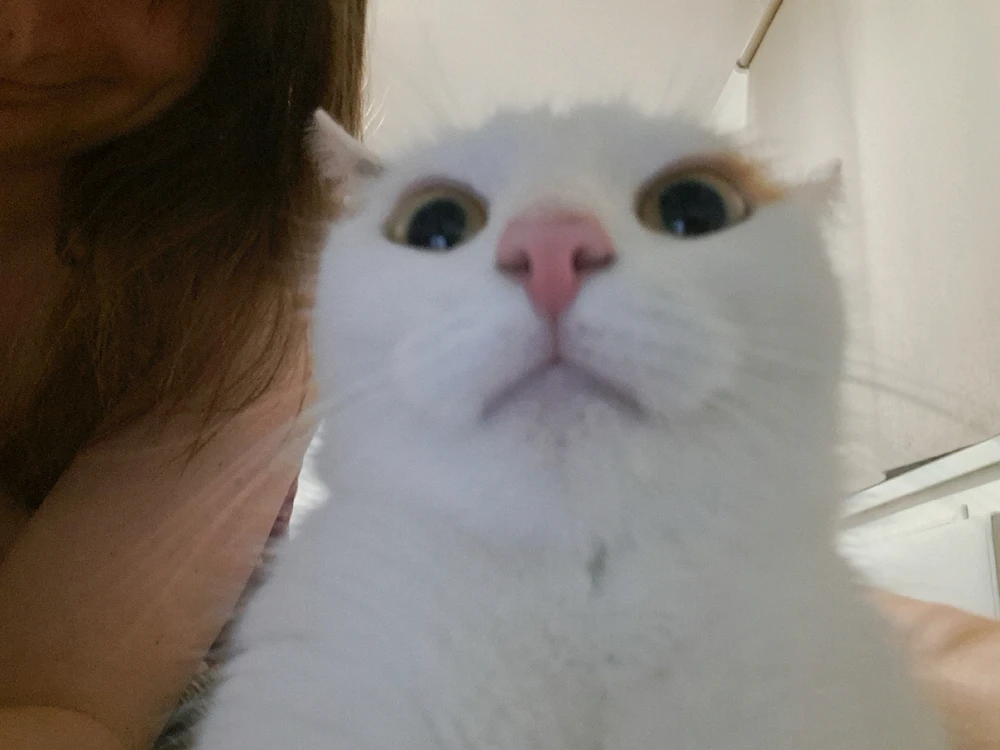 Zdjęcie dodane przez Zofia Bo-tak!