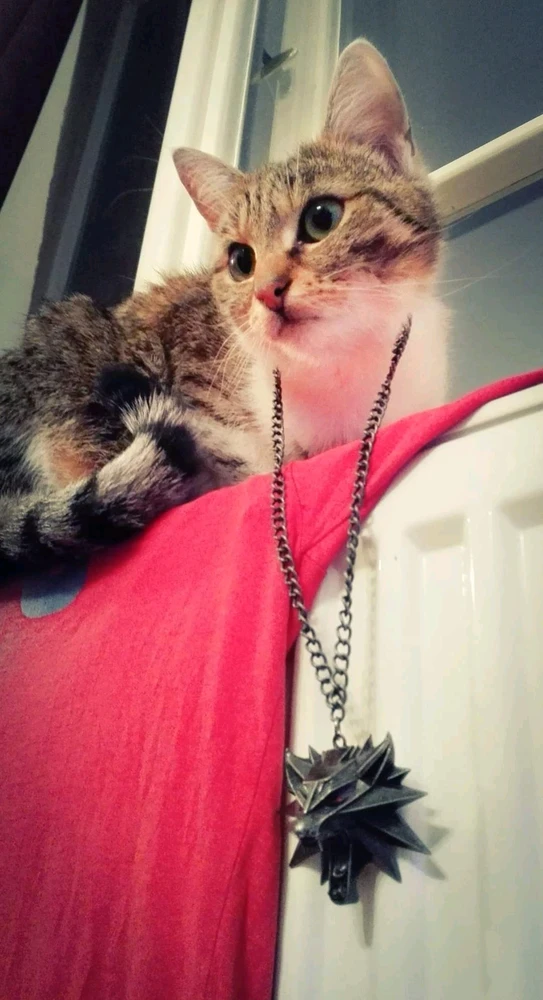 Obrázek nahrál Eliška