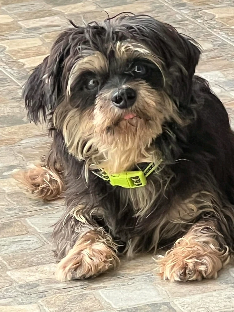 Image uploaded by Roda