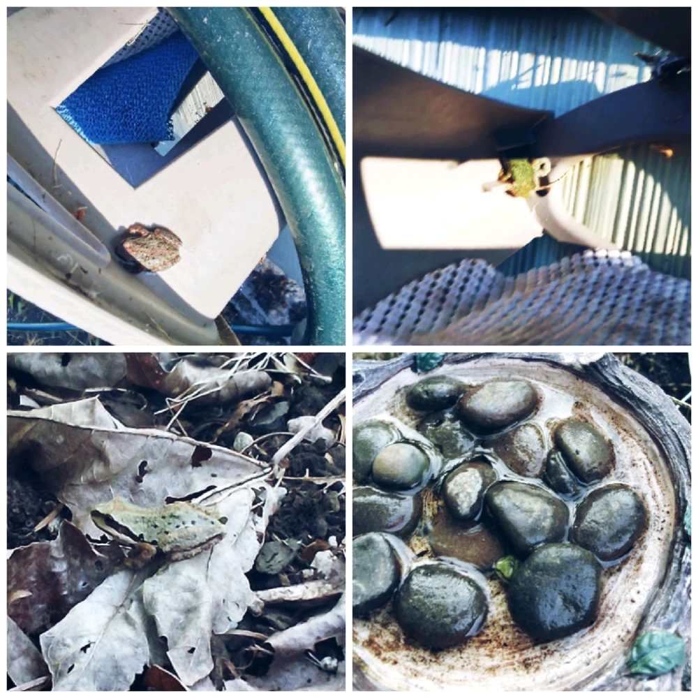Image uploaded by 🦇Jai🎶