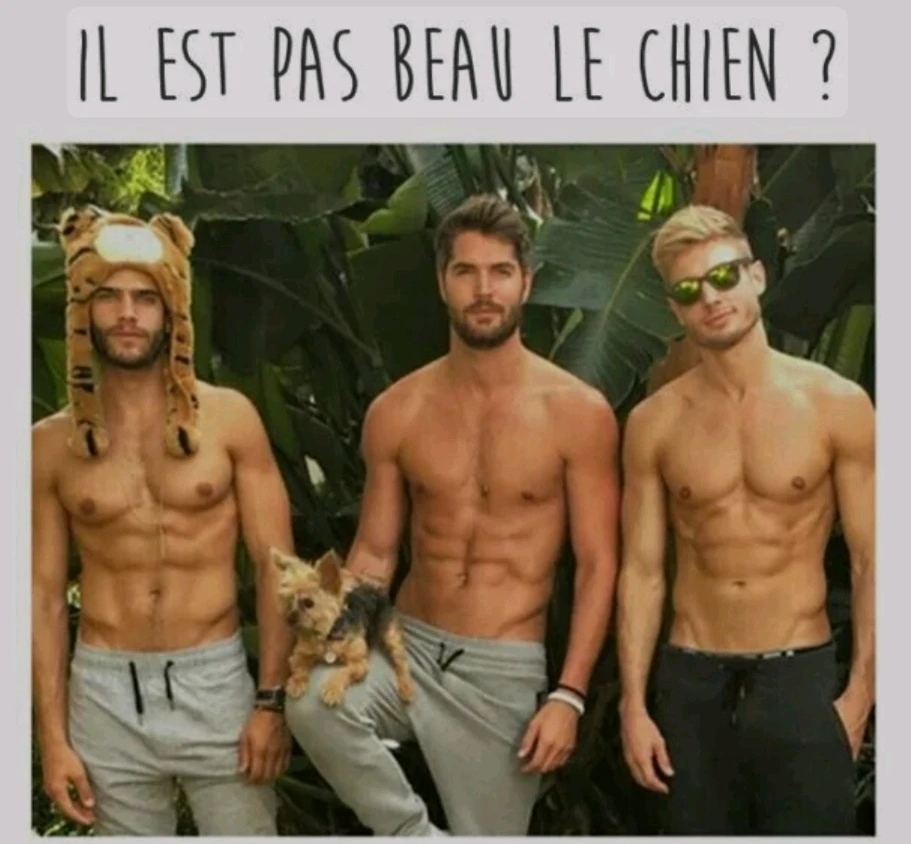 Image ajoutée par ElfeDouce