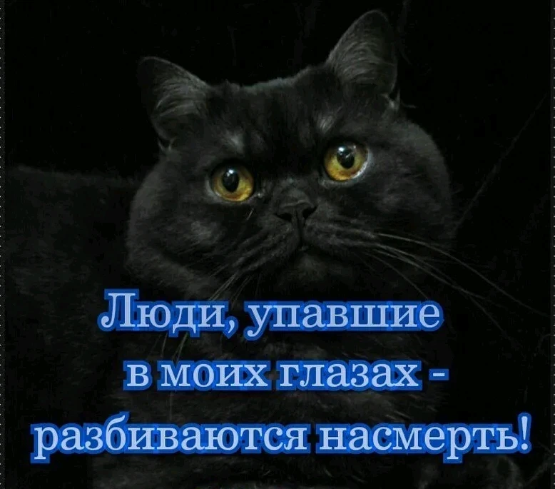 Image uploaded by Anna