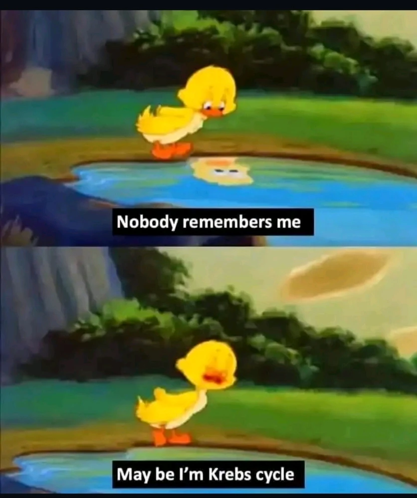 Image uploaded by Jimmy