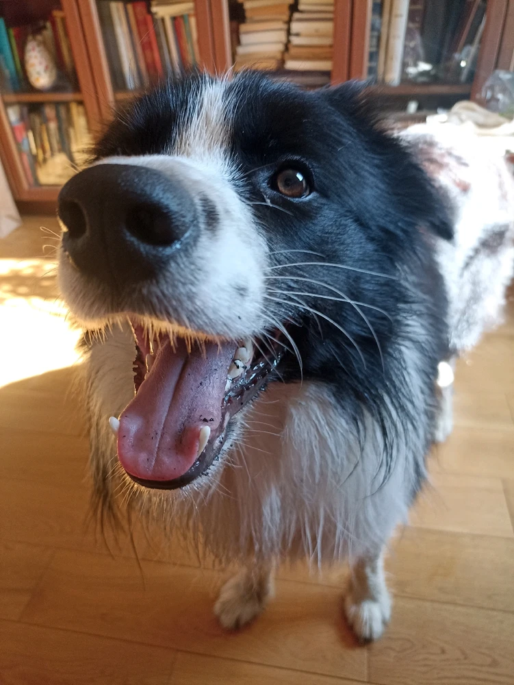 Gambar diunggah dening illy