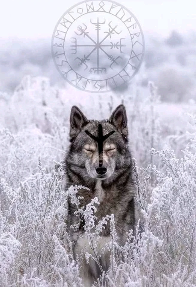 Image uploaded by Travis "Bickle" Pugh