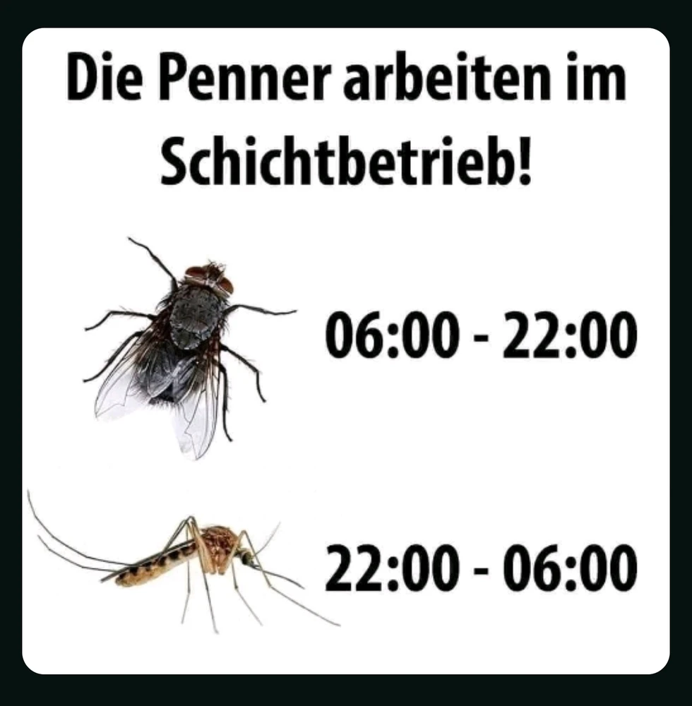 Bild hochgeladen von Timo