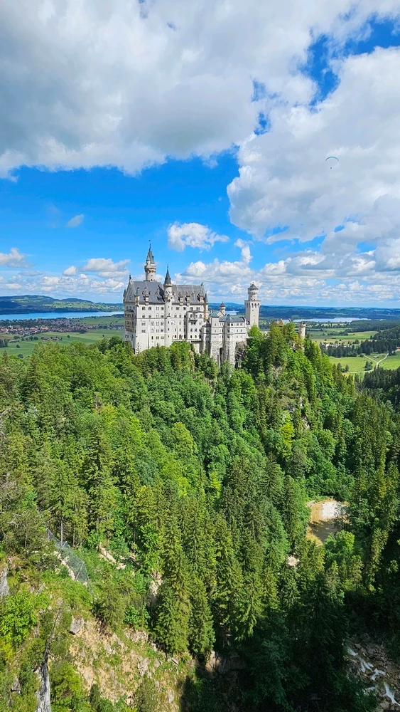 Sliko je naložil Miha