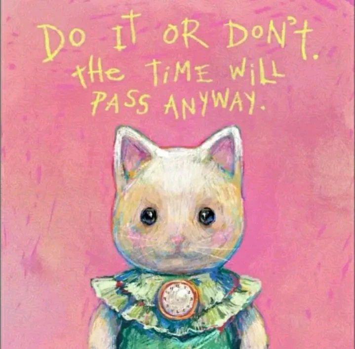 Bild hochgeladen von Marron