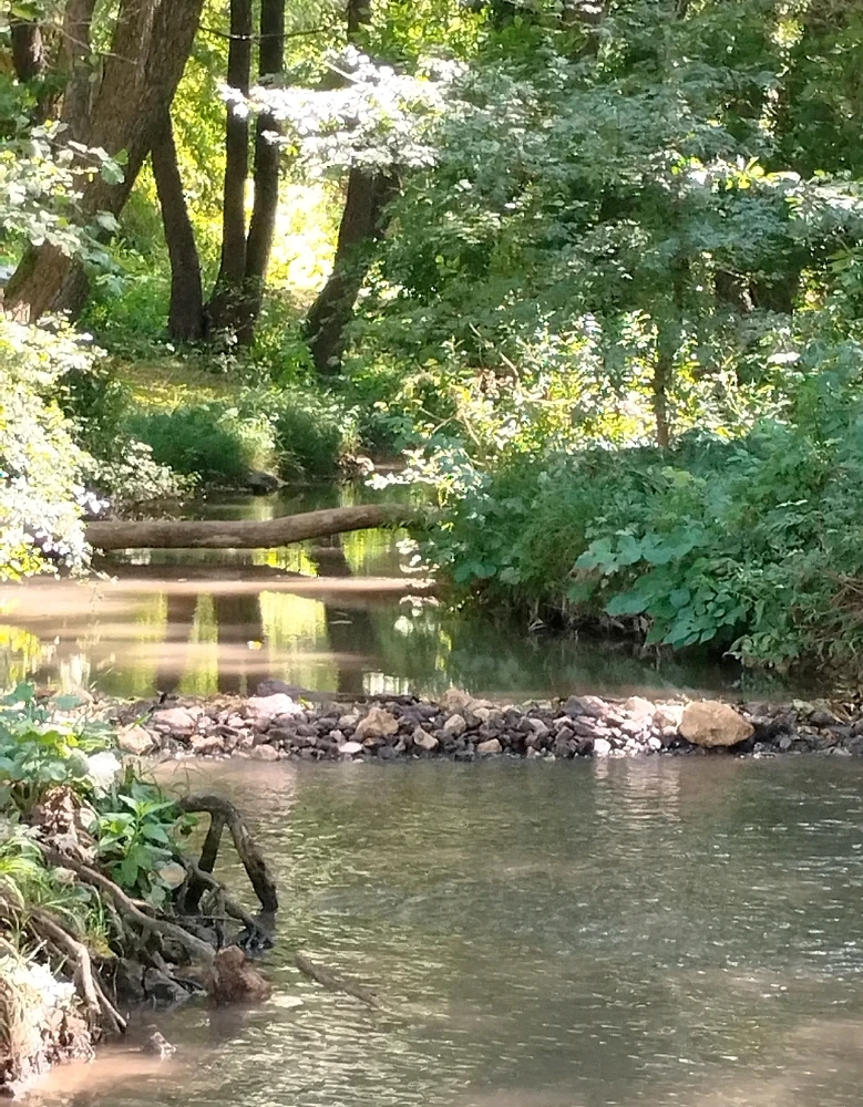 vanazúgy által feltöltött kép