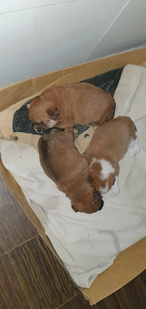 Imagen subida por 𝓢𝓪𝓜