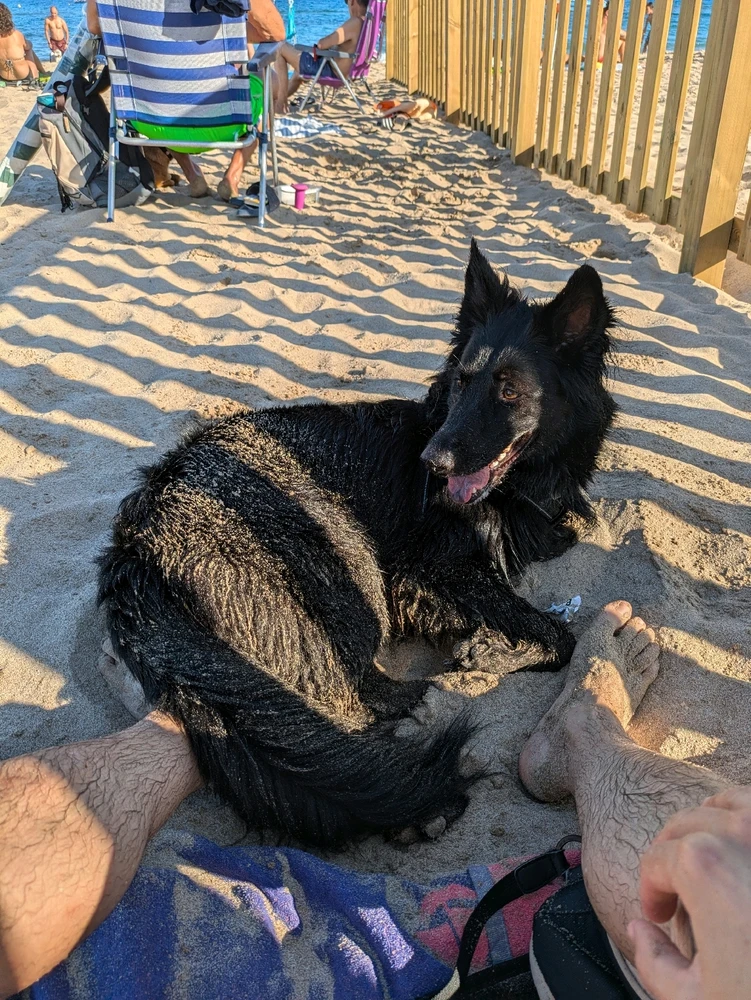 La Nina a la platja de gossos de Torredembarra.
