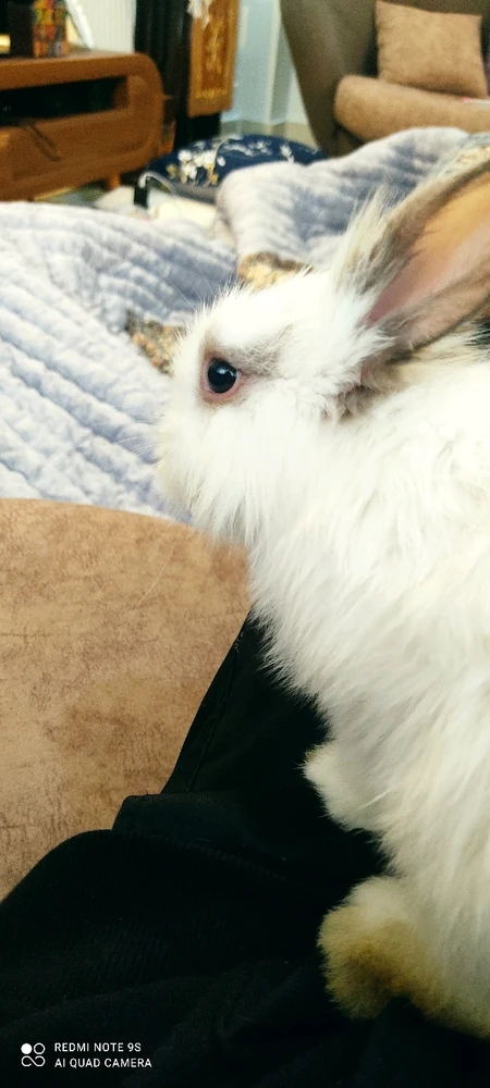 تصویر آپلود شده توسط emad