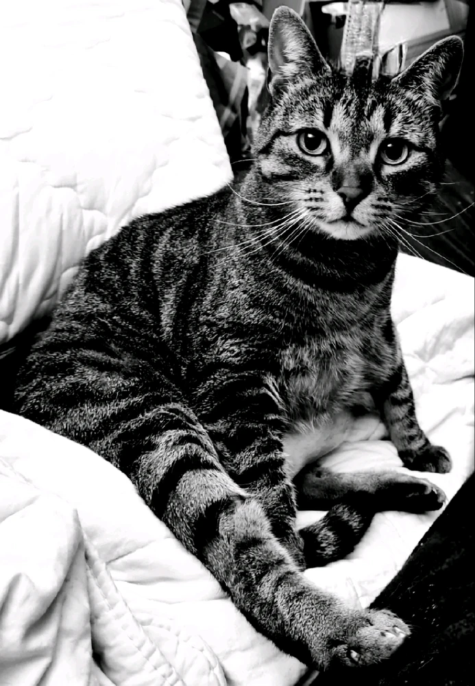 Bild hochgeladen von Doris