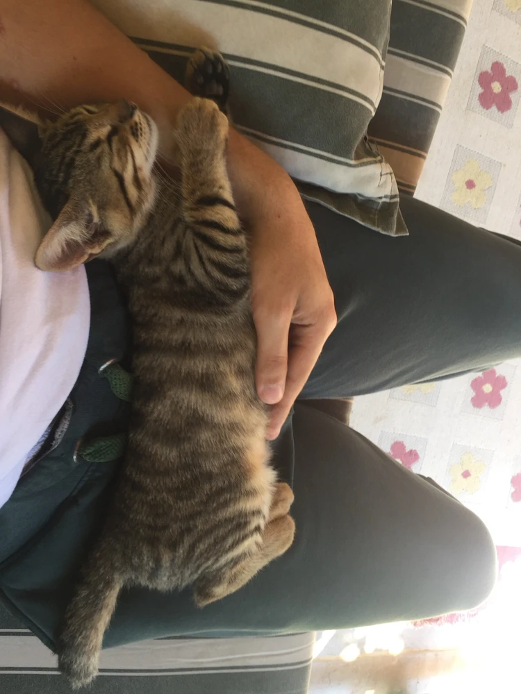 Bedirhan tarafından yüklenen görsel