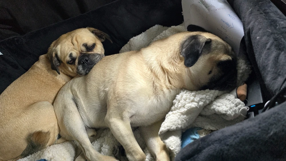 Image uploaded by Angel