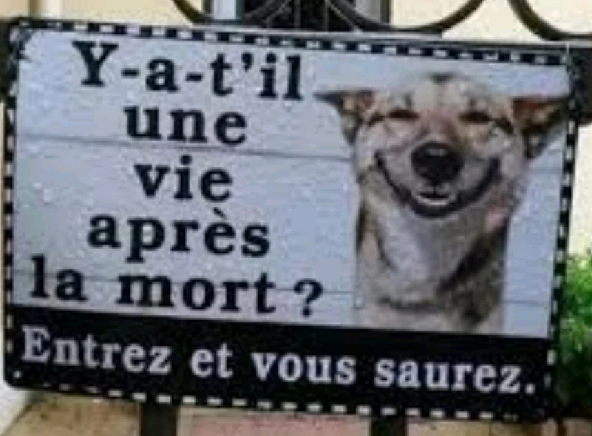 Image ajoutée par ElfeDouce