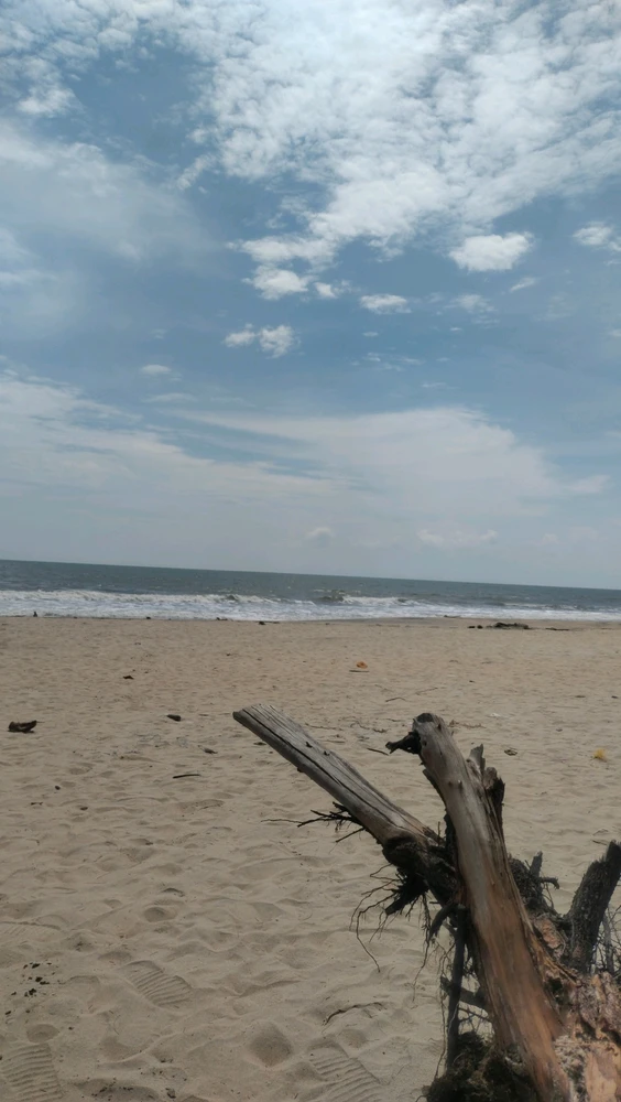 Image uploaded by Rahul