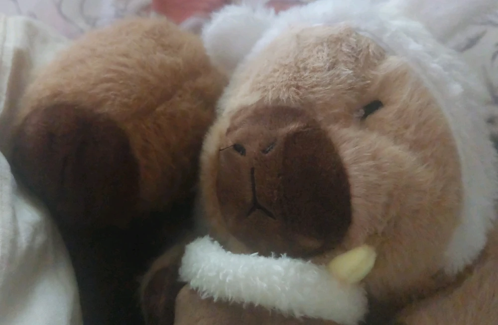 Bild hochgeladen von Sam