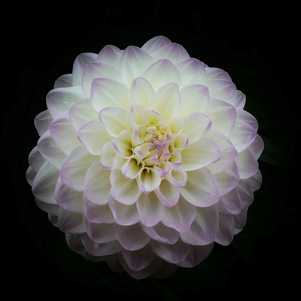 Image ajoutée par Caroline