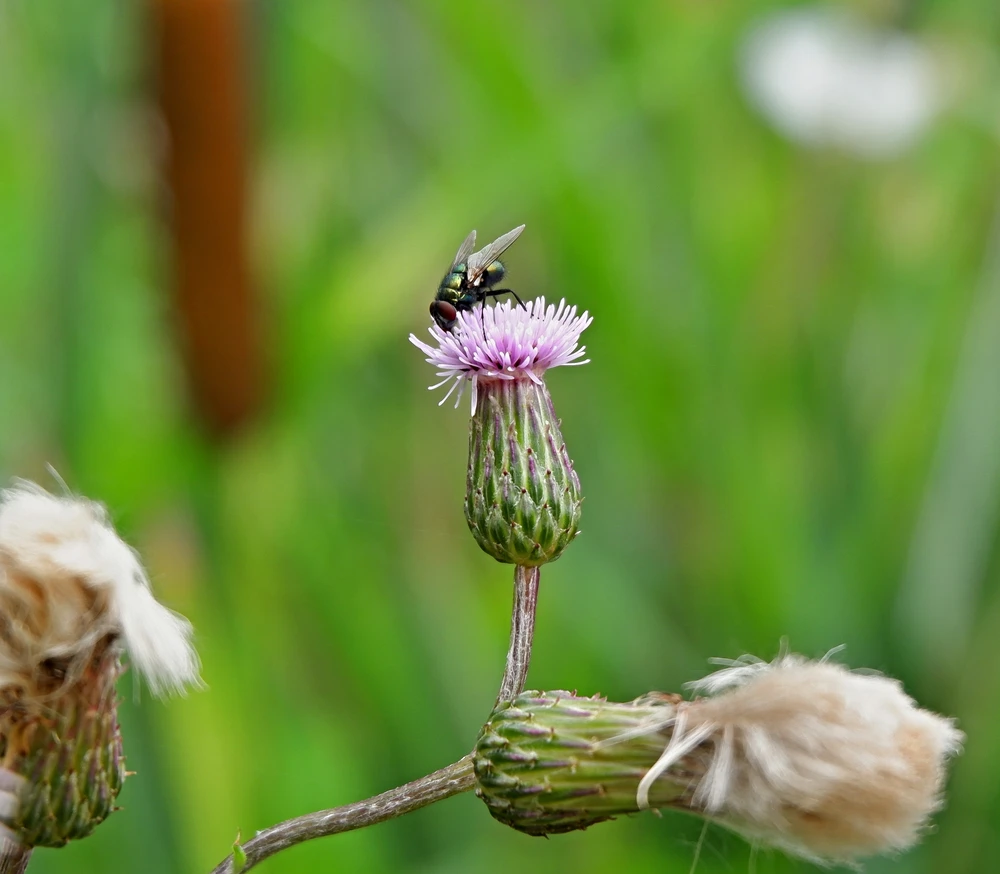 Obrázek nahrál Daniel Kovář