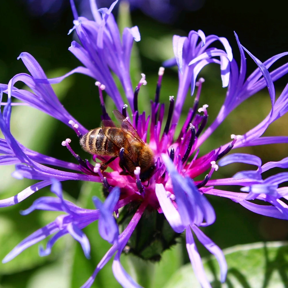 Image ajoutée par Lou