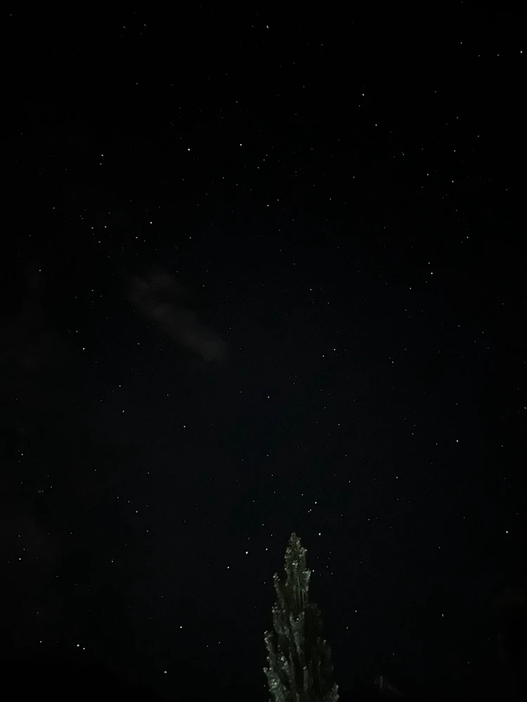 Image uploaded by Ubaid