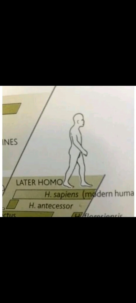由Sergen German上传的图片