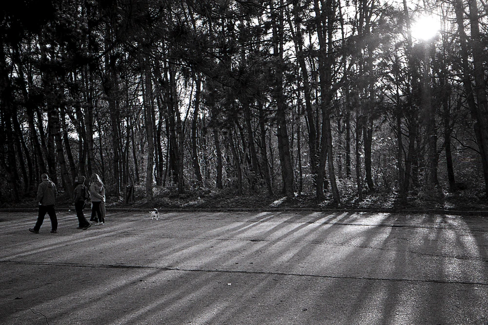 Obrázek nahrál Irónia