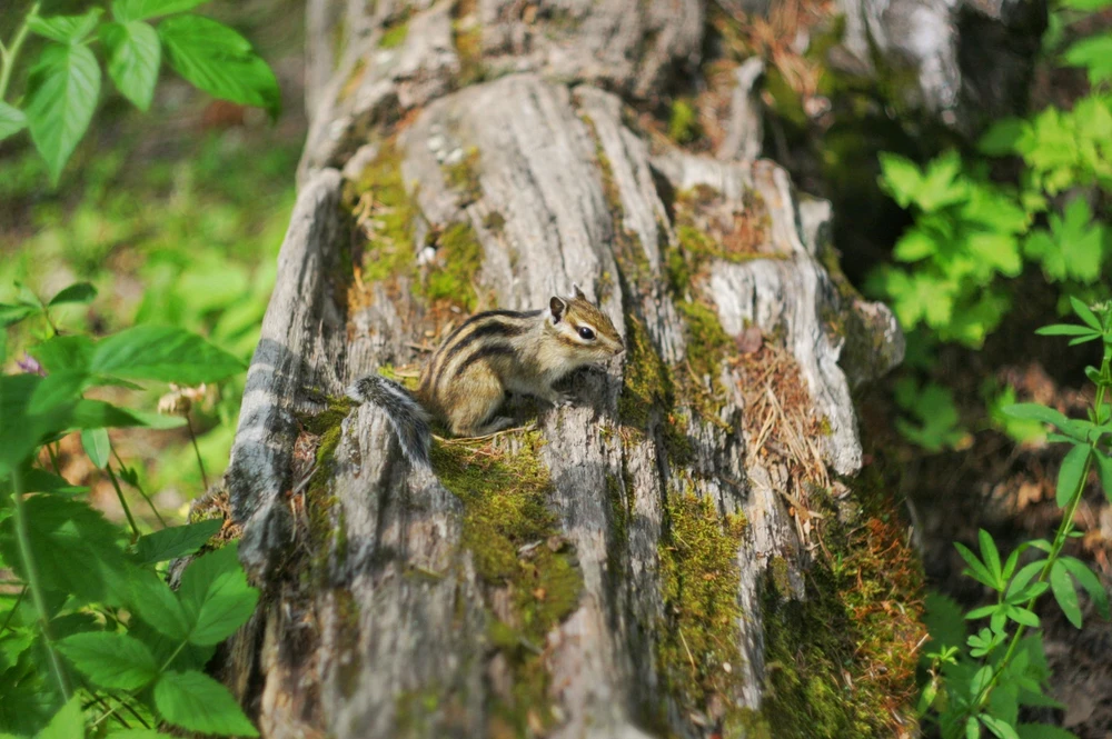 Gambar diunggah dening Olga