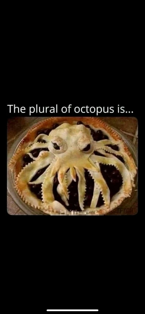 Image uploaded by Evynn