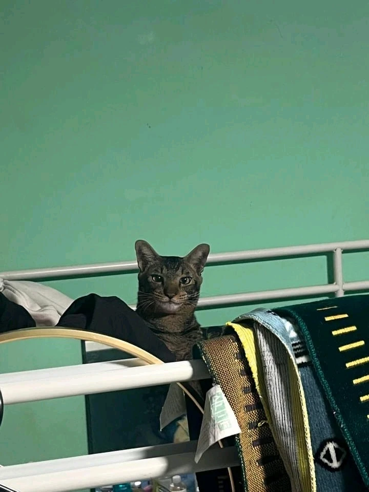 Image uploaded by Rai