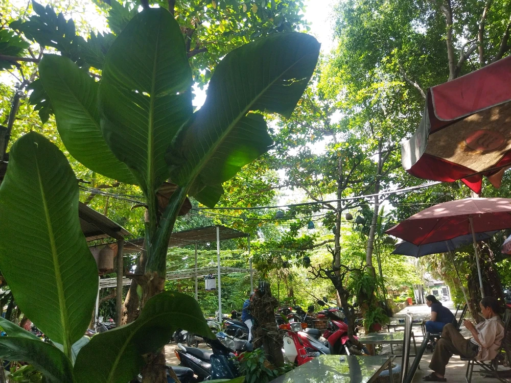 Ảnh do KienLee tải lên