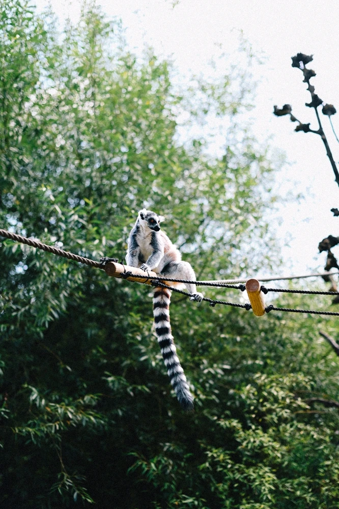 Image uploaded by Tobias