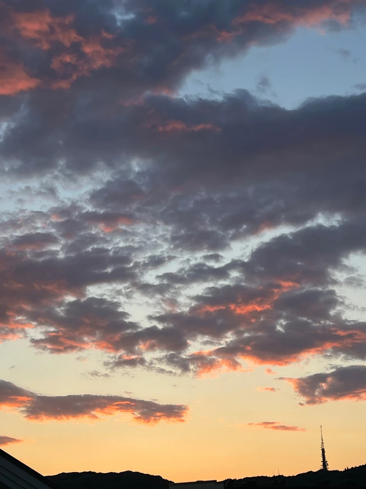 Image uploaded by Vasyl