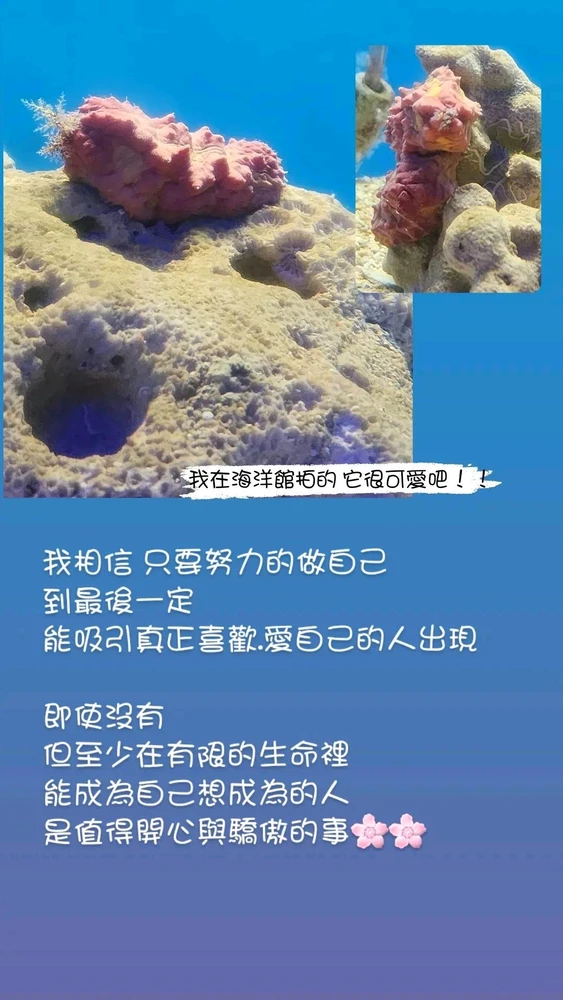 Ellie上傳的圖片