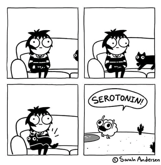 Bild hochgeladen von Marie