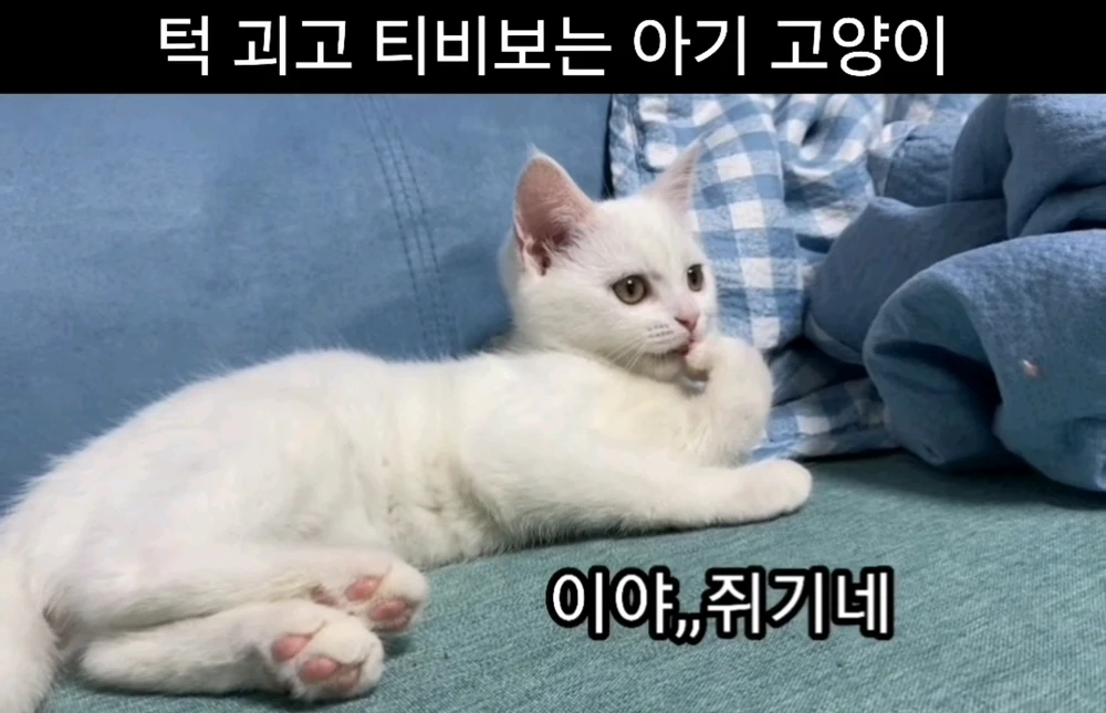 김태현님이 올린 사진