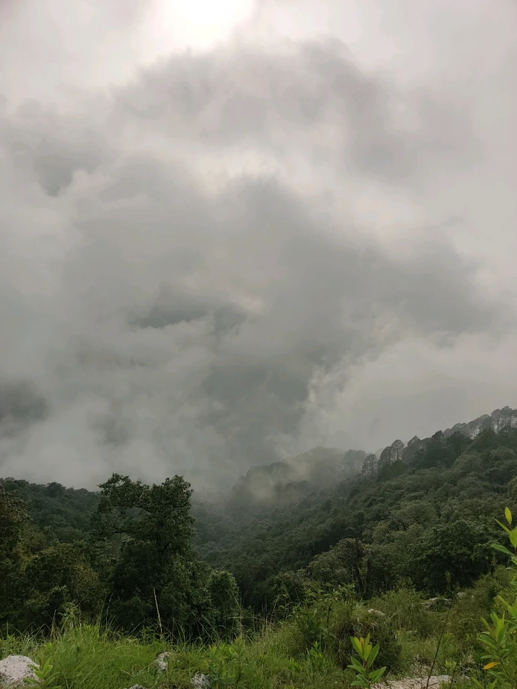 Image uploaded by Parthav Chhettri