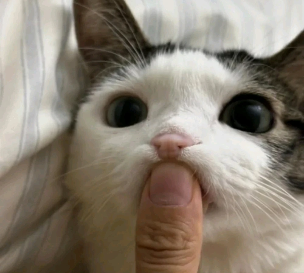 تصویر آپلود شده توسط M..R..A