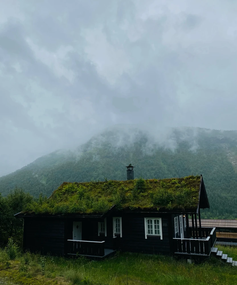 Obrázek nahrál Kama