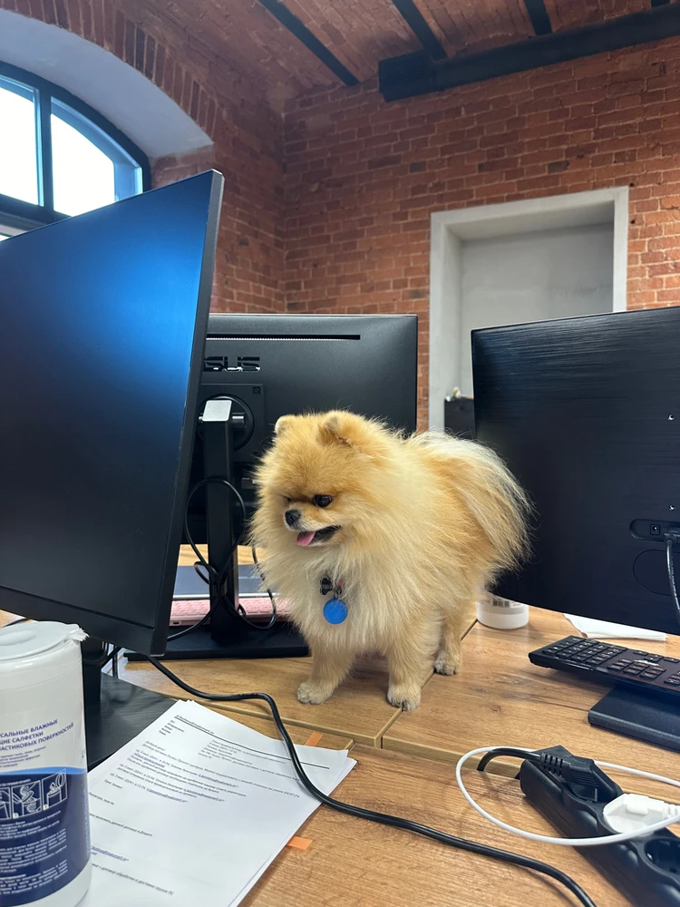 Фото загрузил Полина